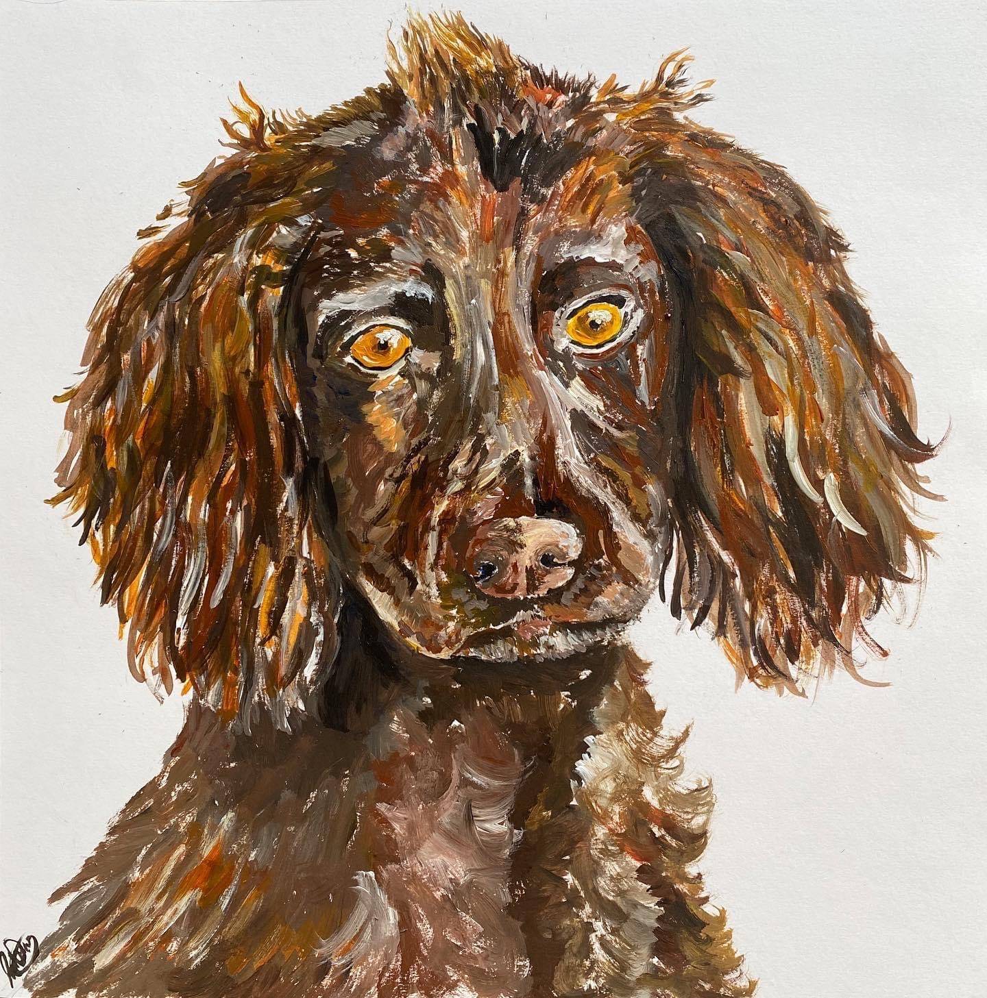 The Spaniel commission finished